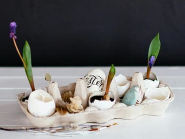 Mit Eierschalen basteln: hübsche Ideen
