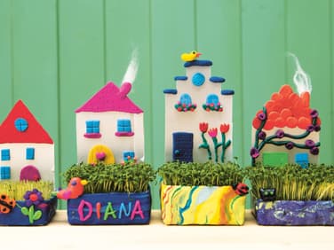 Die Kressehäuschen sind perfekt für kleine Hobbygärtner- und Hobbygärtnerinnen. 