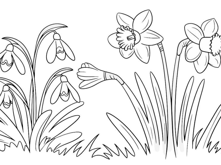 Ausmalbilder Frühling – kostenlos zum Herunterladen!