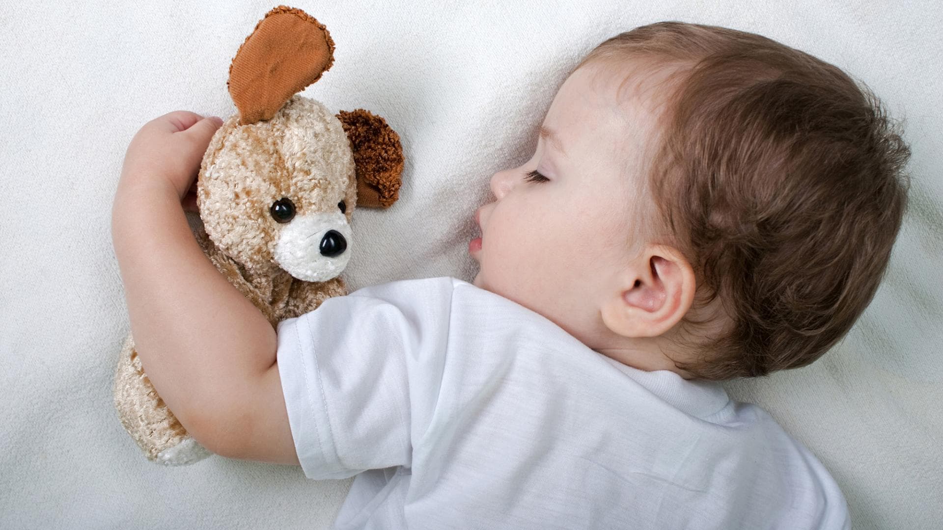 Baby Dreht Sich Nachts Auf Den Bauch Und Weint Hilfe, unser Baby dreht sich im Schlaf auf den Bauch!